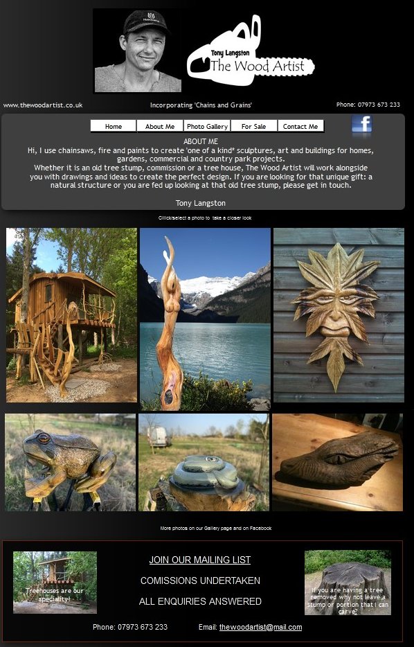 The Wood Artist