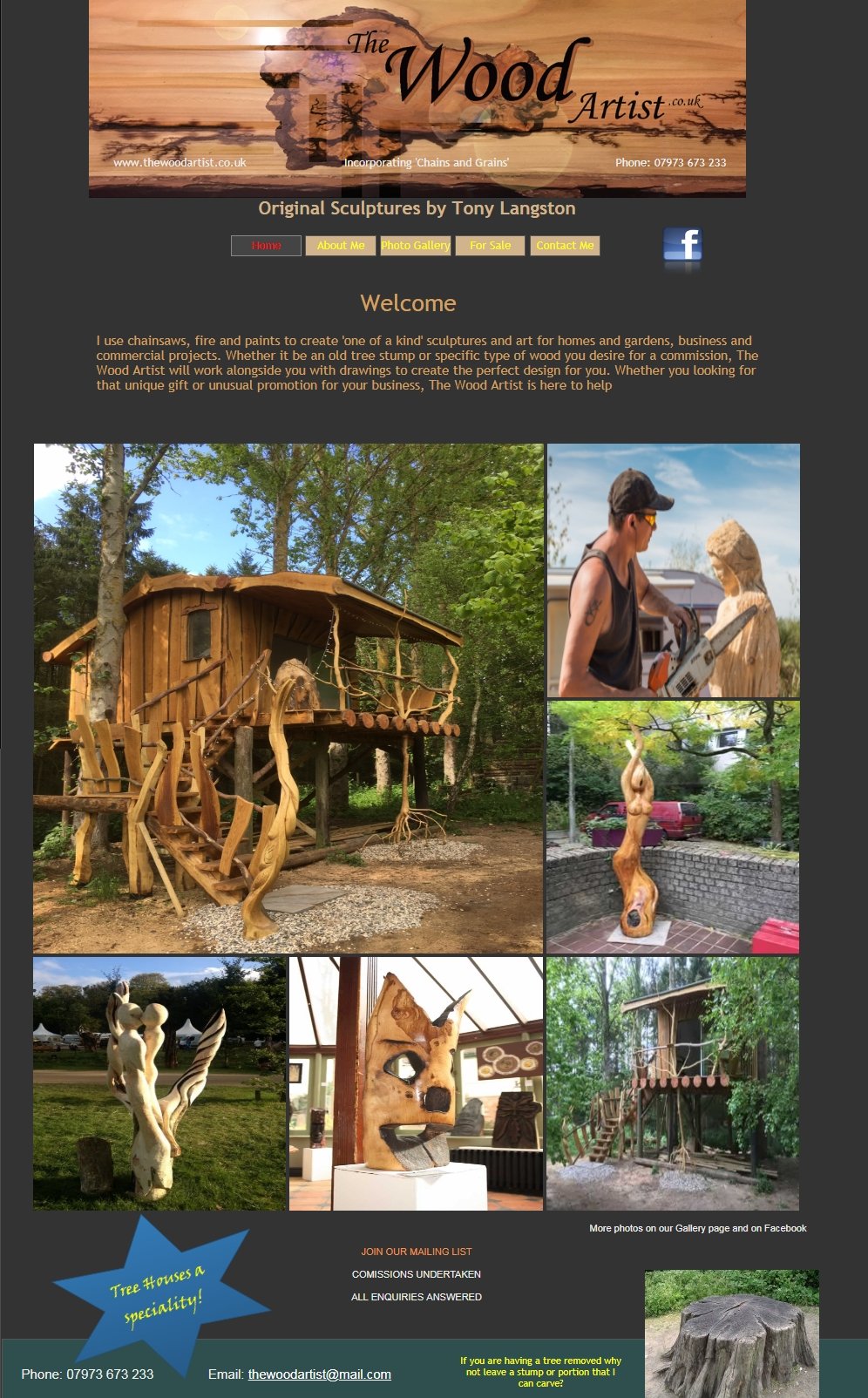 The Wood Artist *